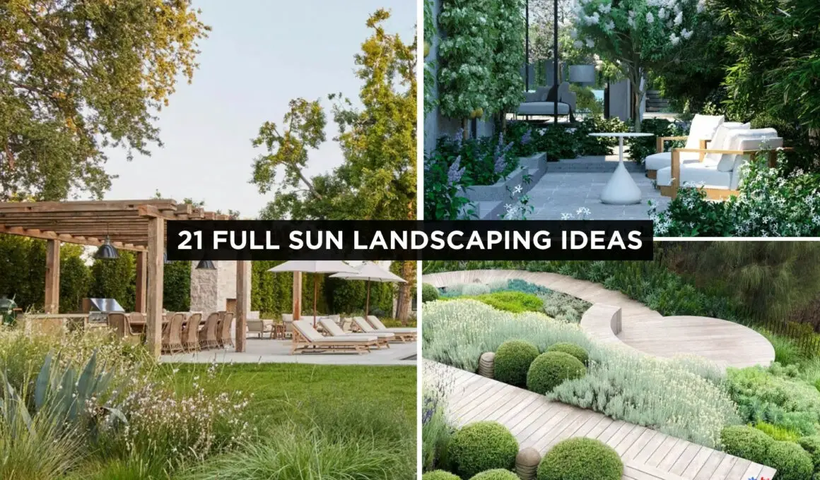 21 Full Sun Landscaping Ideas