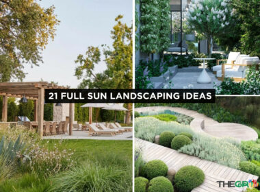 21 Full Sun Landscaping Ideas