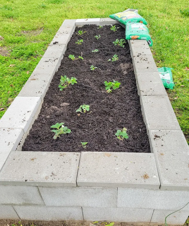 Concrete raised garden bed