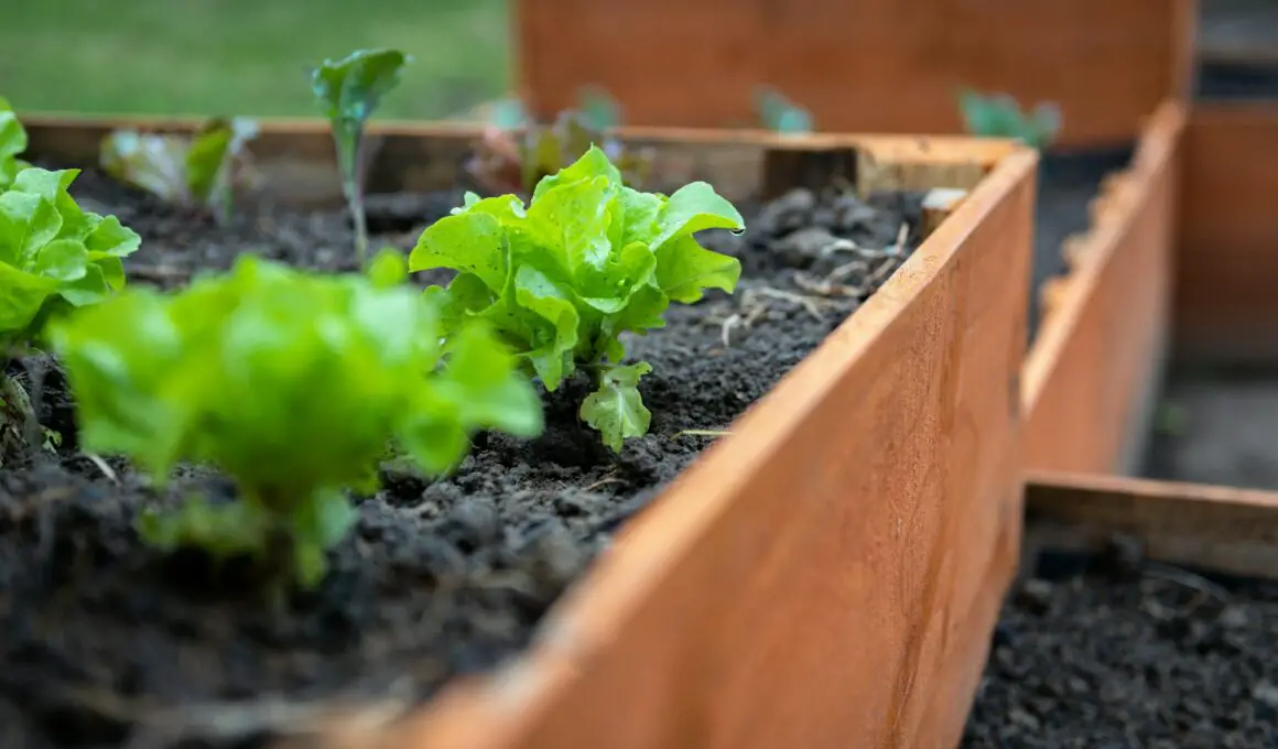 Materials for Raised Garden Beds