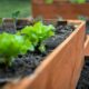 Materials for Raised Garden Beds