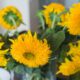 How to Grow Sunflower At Home