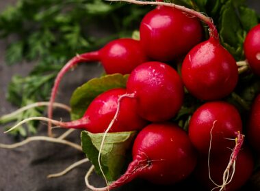 How to Grow Radishes At Home (Beginners Guide)