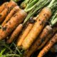 How to Grow Carrots At Home
