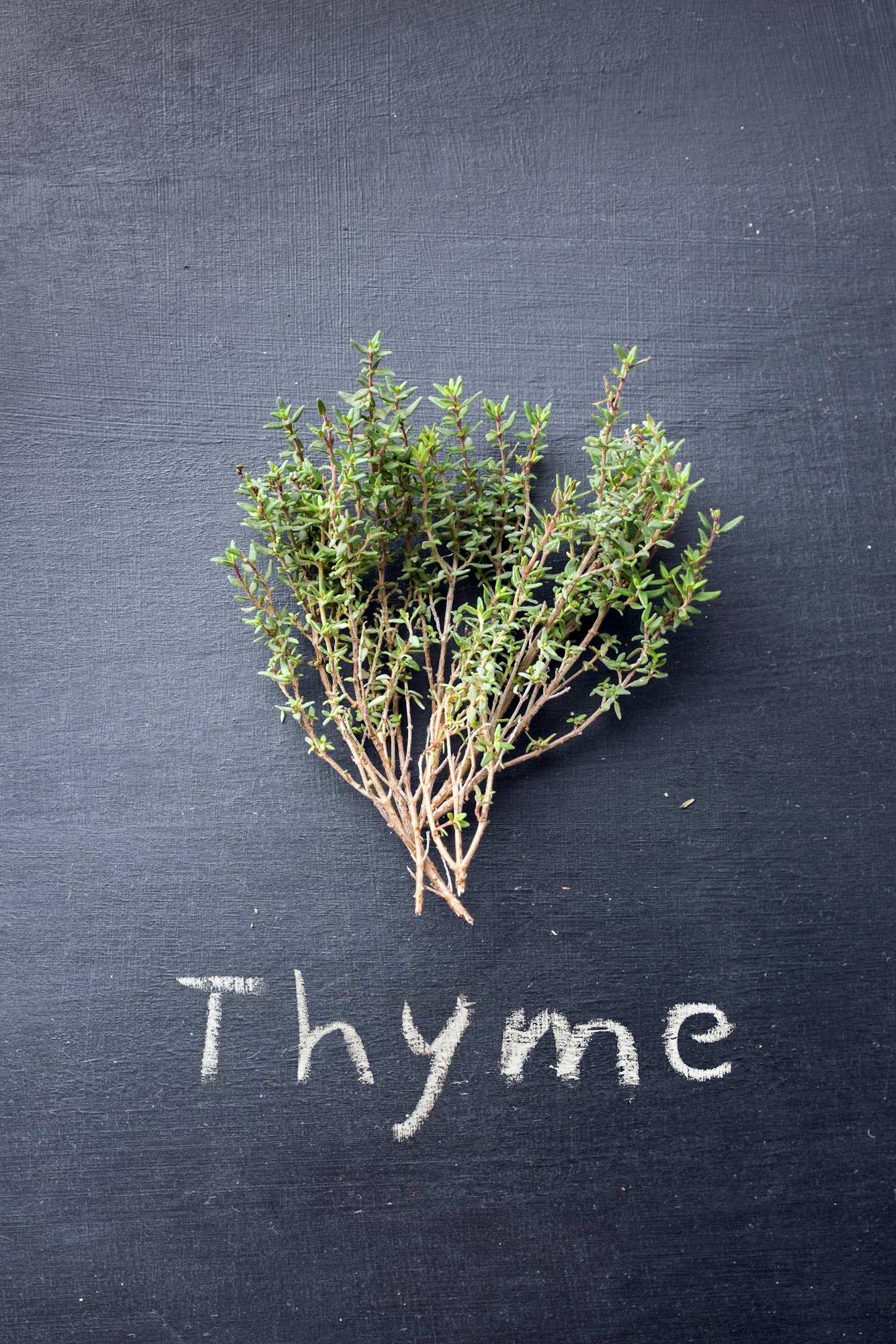 Choosing the Right Variety of Thyme