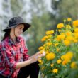 How to Grow Marigold At Home