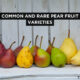 Pear Fruit Varieties: Common And Rare Types