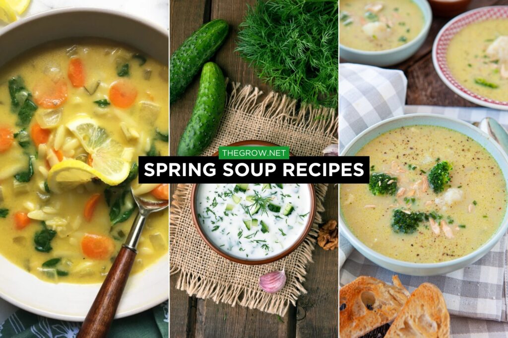 Spring Soup Recipes