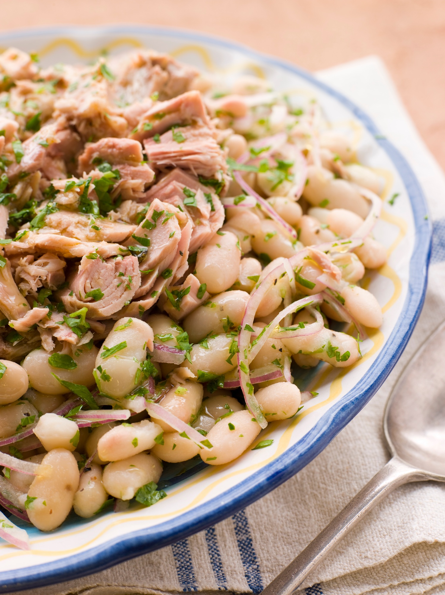 Bowl of Tuna and Bean Salad