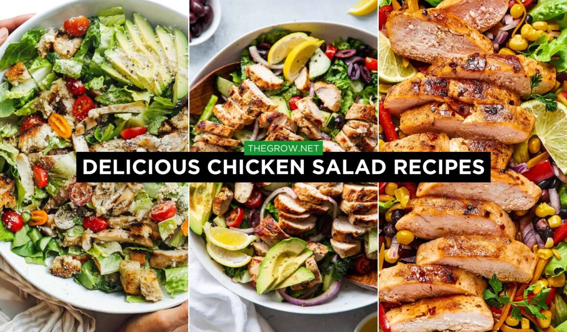 Delicious Chicken Salad Recipes
