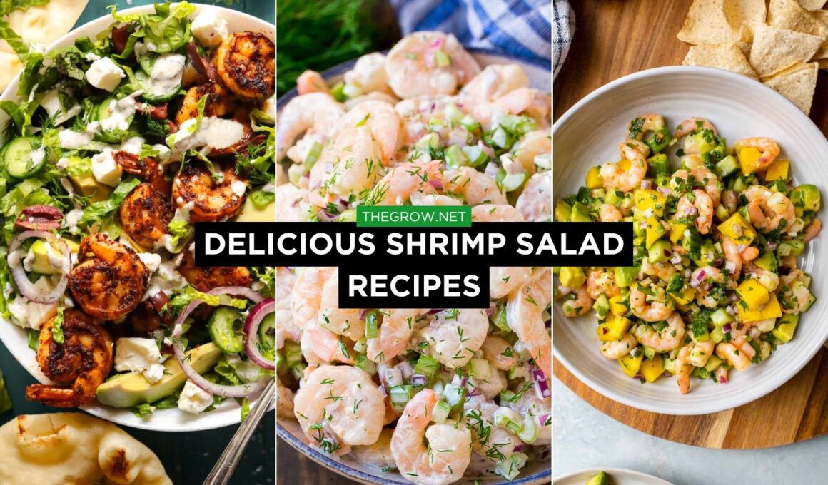 Delicious Shrimp Salad Recipes