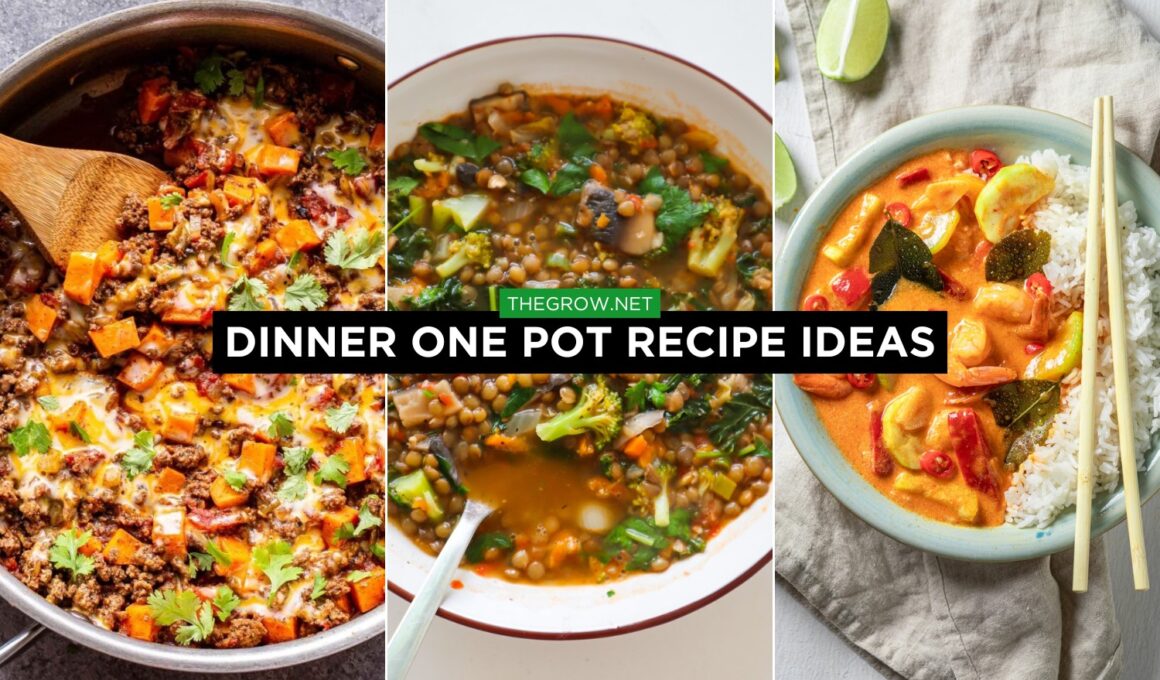 Dinner One Pot Recipe Ideas