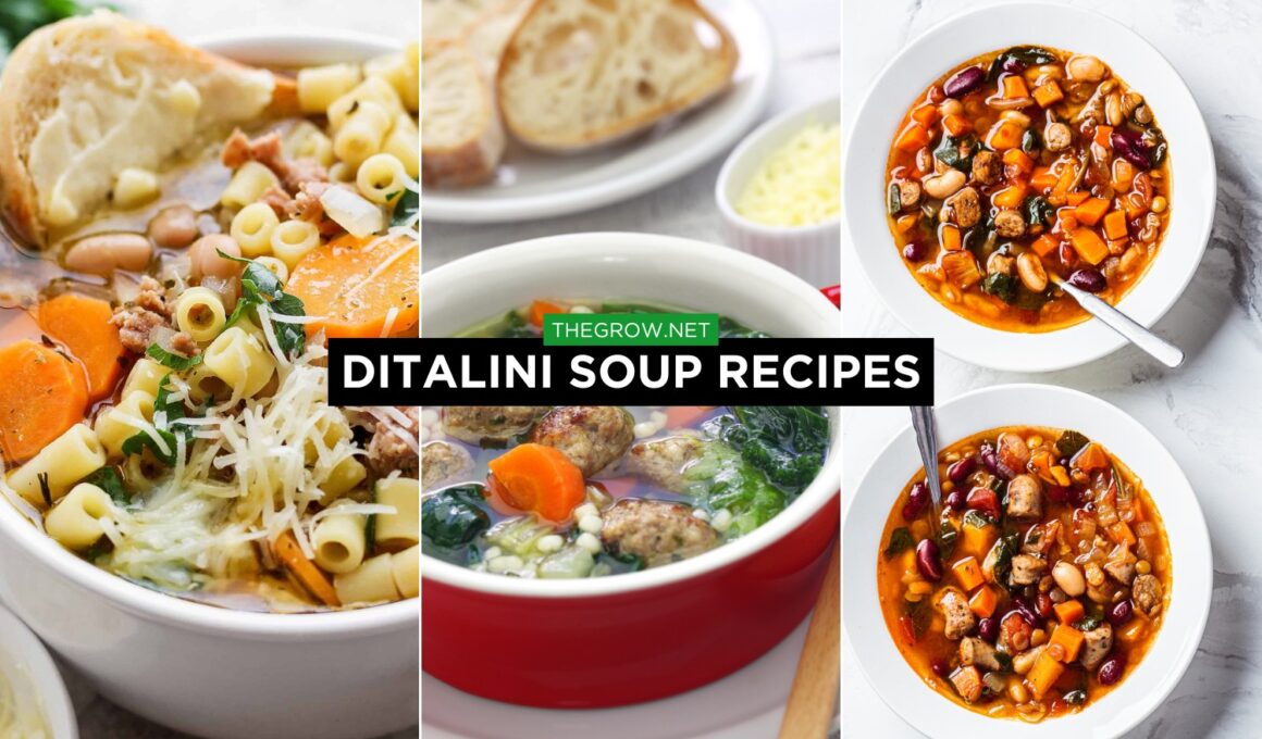 Ditalini Soup Recipes