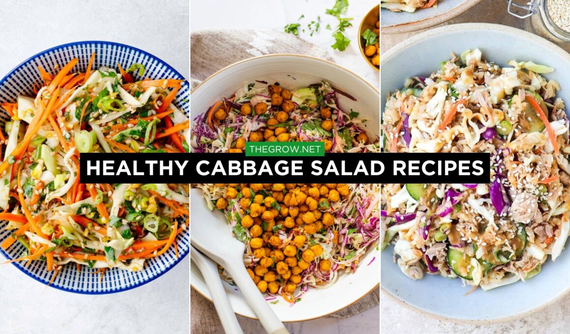 Healthy Cabbage Salad Recipes