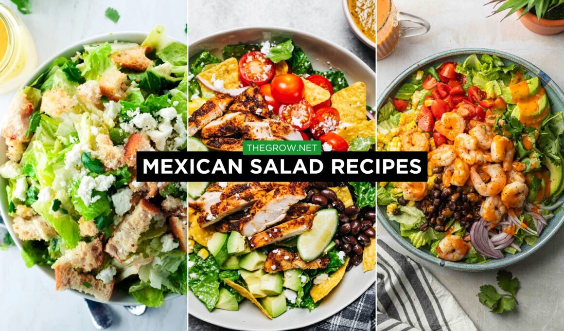 Mexican Salad Recipes