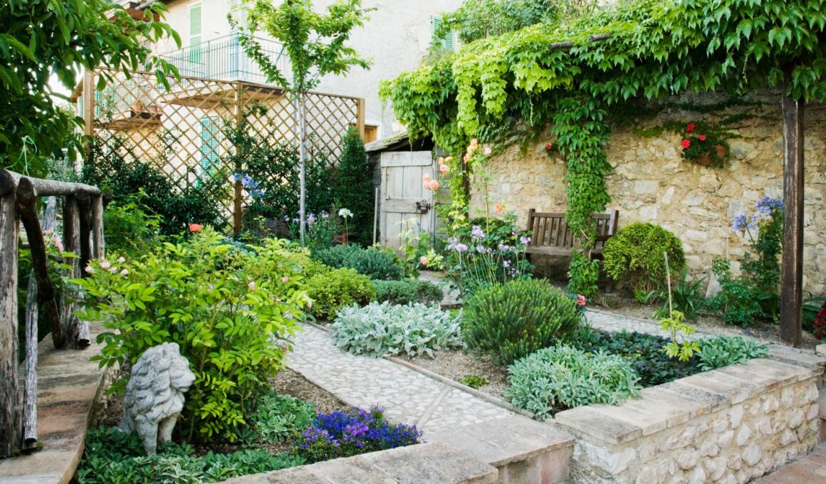 Backyard Garden