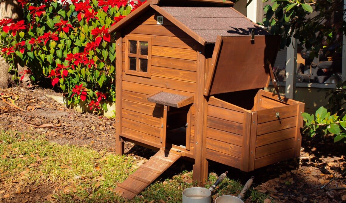 simple chicken house