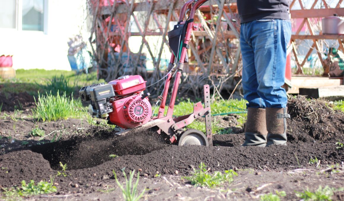 spring garden preparation for planting
