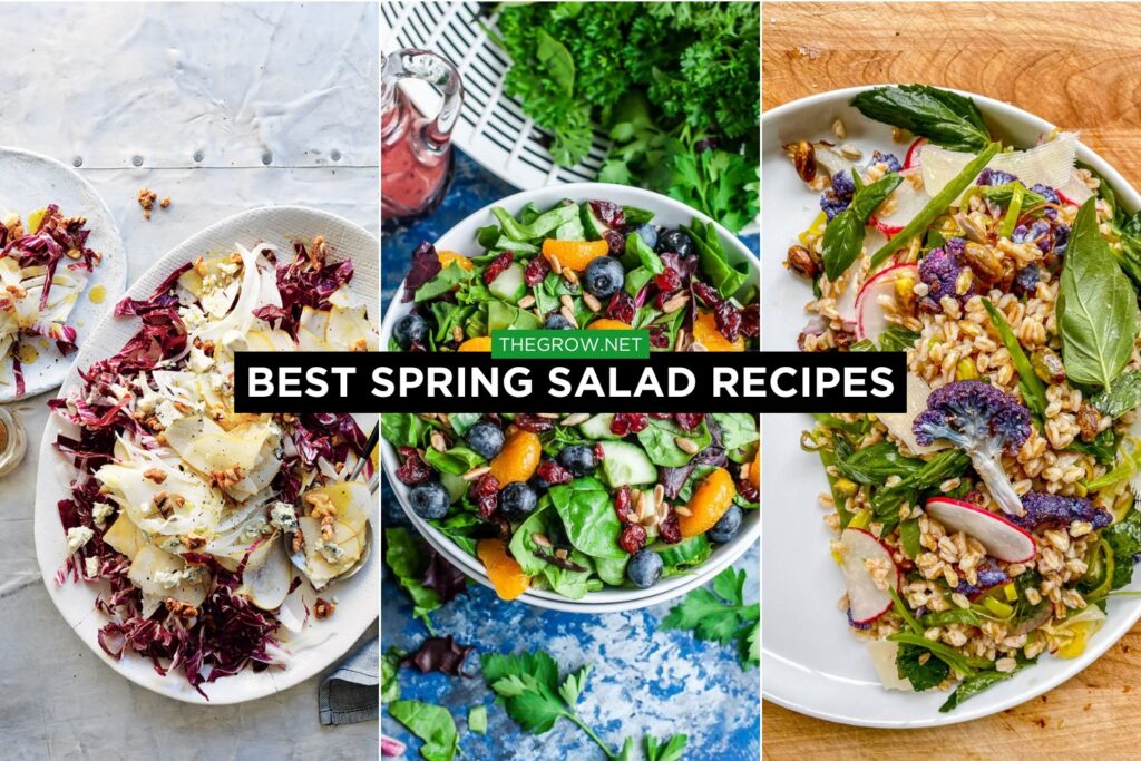 Best Spring Salad Recipes