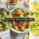 Lettuce Salad Recipes