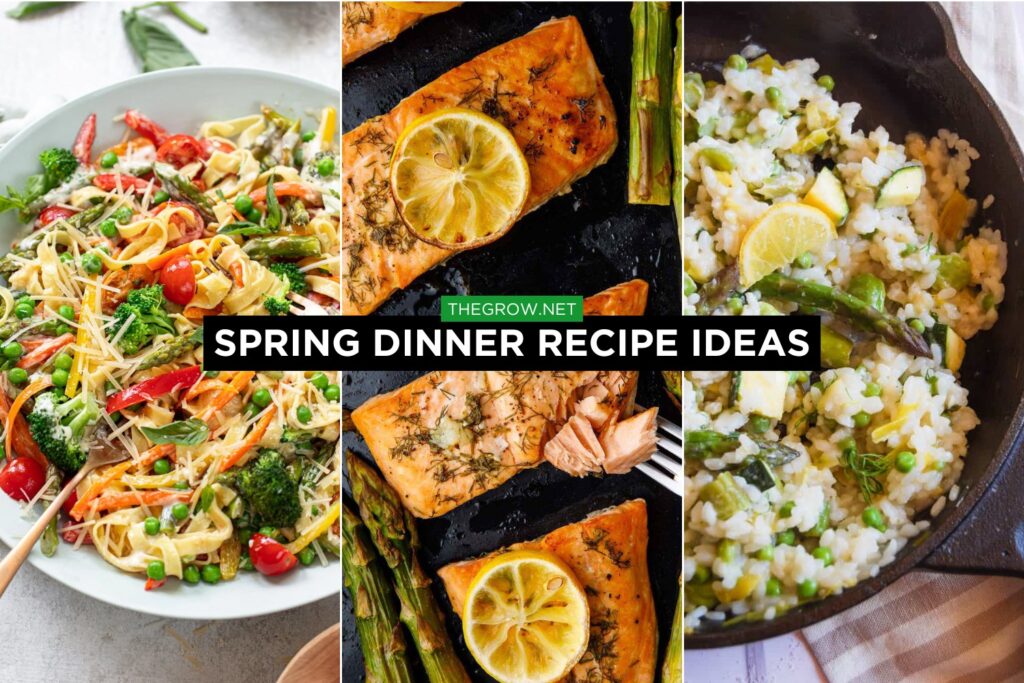 Spring Dinner Recipe Ideas