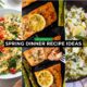 Spring Dinner Recipe Ideas