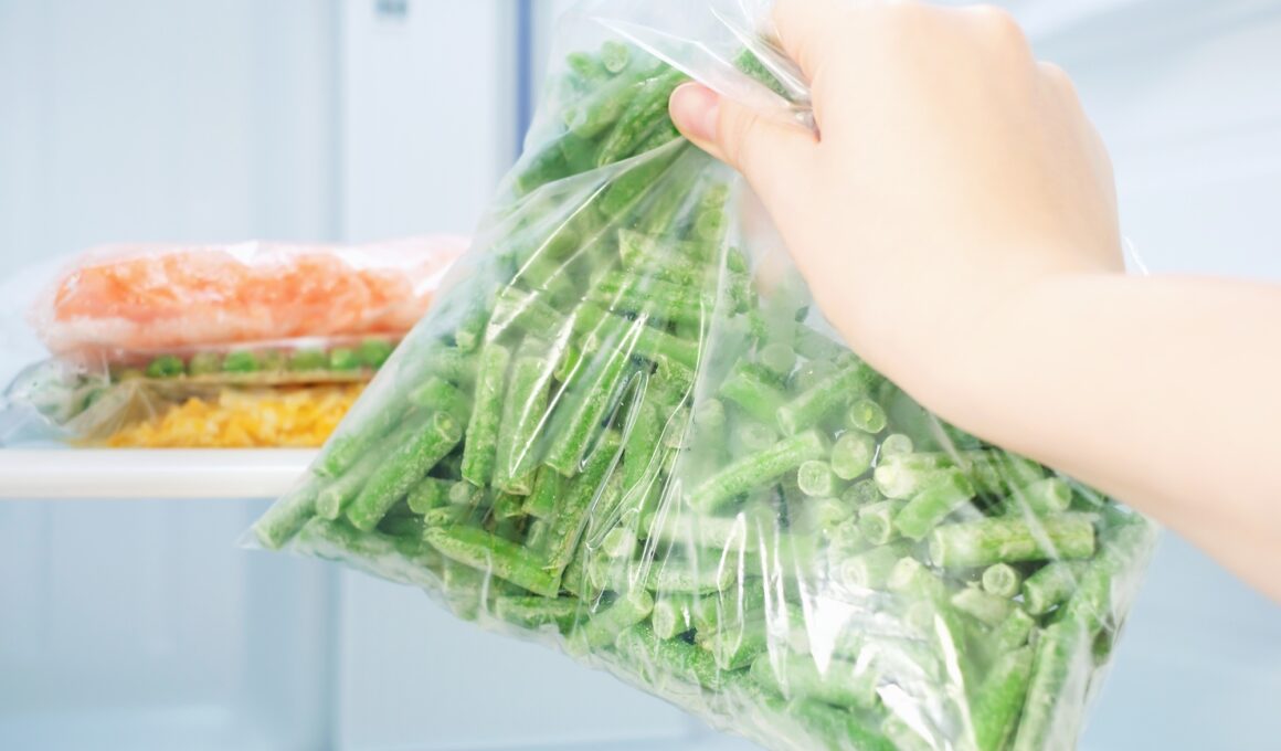 Female hand holds a plastic bag with frozen green beans on the background of freezer.