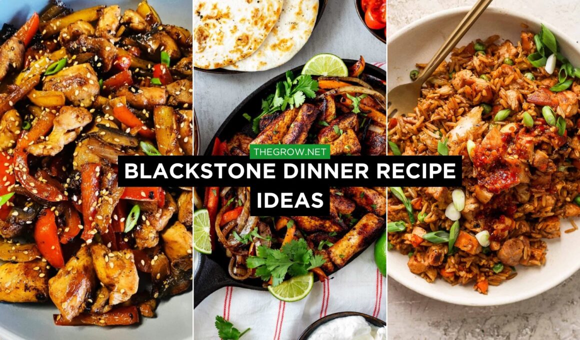 Blackstone Dinner Recipe Ideas