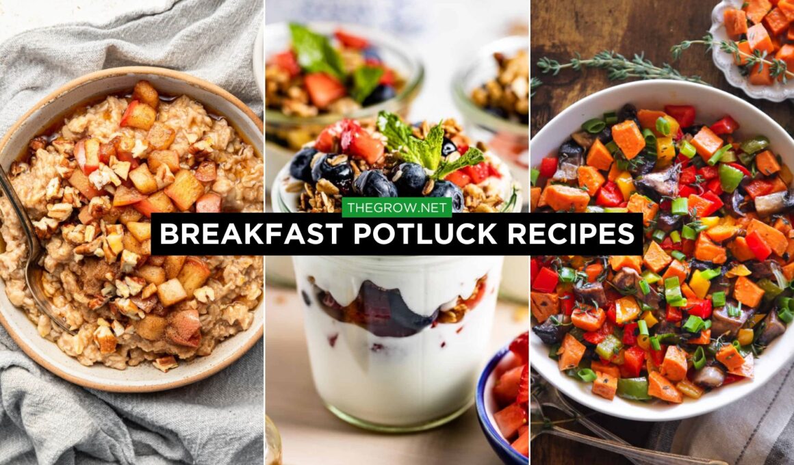 17-healthy-breakfast-potluck-recipes-thegrow