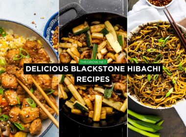 Delicious Blackstone Hibachi Recipes