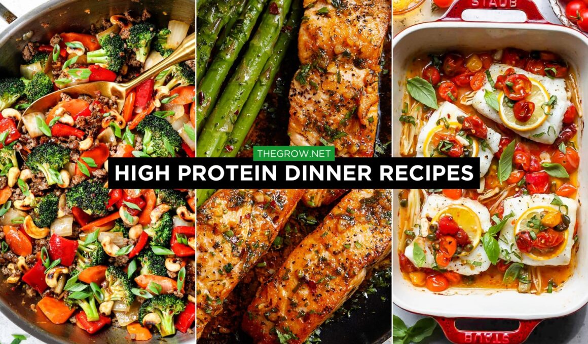 High Protein Dinner Recipes