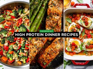 High Protein Dinner Recipes