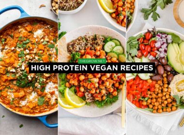 High Protein Vegan Recipes