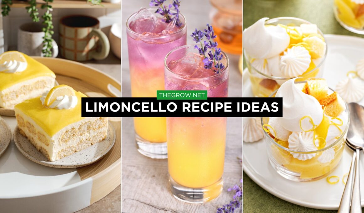 Limoncello Recipe Ideas