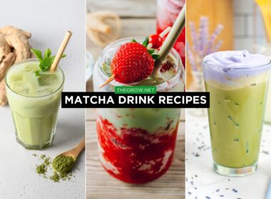 Matcha Drink Recipes