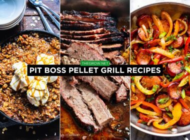Pit Boss Pellet Grill Recipes
