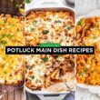 Potluck Main Dish Recipes