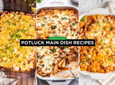 Potluck Main Dish Recipes