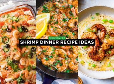 Shrimp Dinner Recipe Ideas