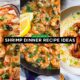 Shrimp Dinner Recipe Ideas