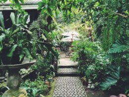 A green Secret garden.