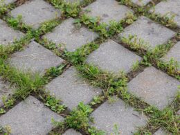 Angular view of grey paving tile with green grass in gaps