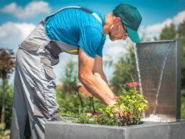 Building Creative Garden