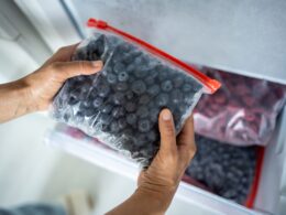 Hands hold zip bag with blueberries, putting into freezer. Cost effective frozen food storage