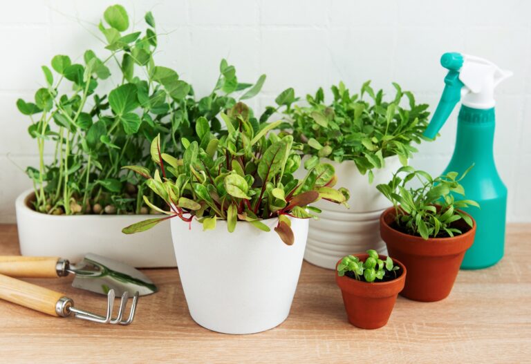 How You Can Keep Herbs Thriving All Year Long Indoors
