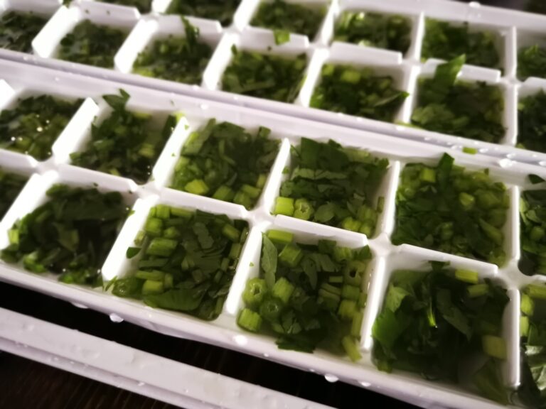 keeping the vegetables herbs fresh in ice box containers