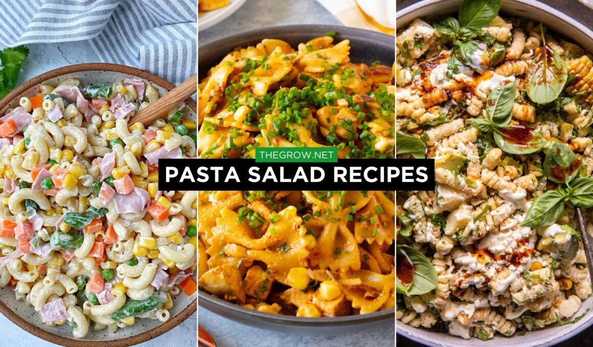 Pasta Salad Recipes