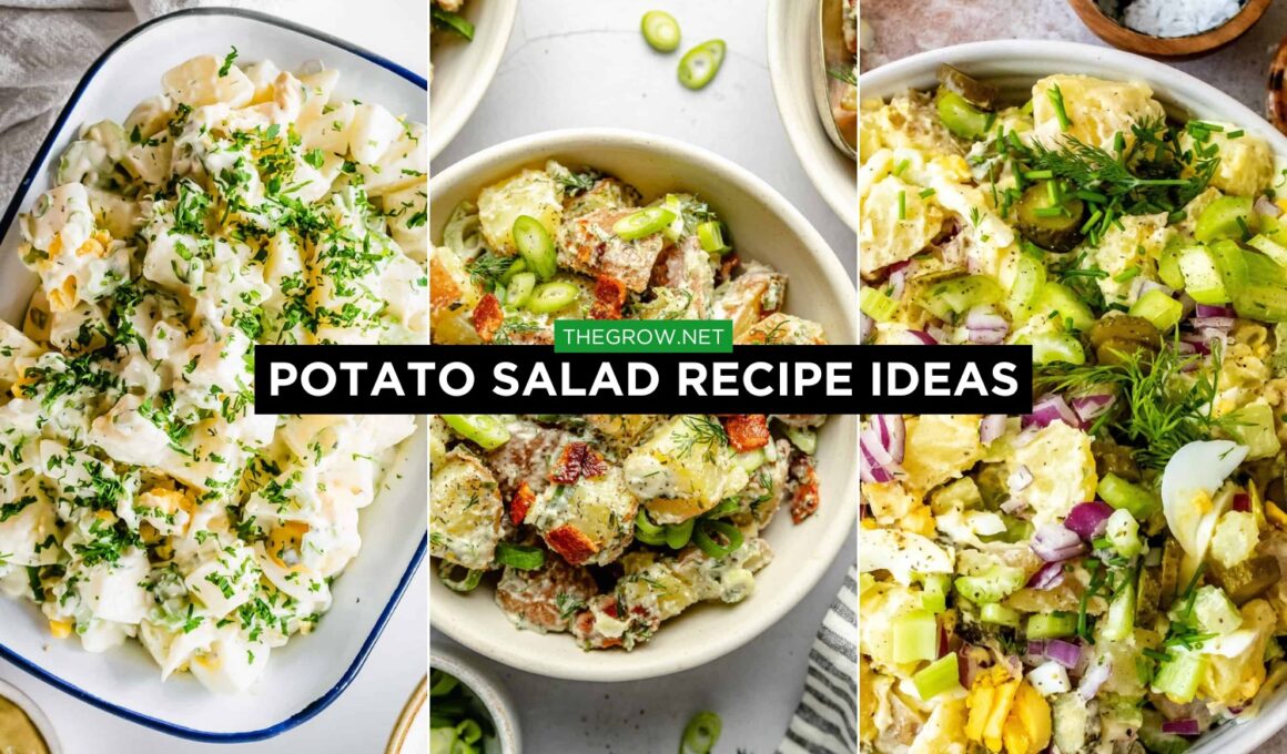 potato salad recipes
