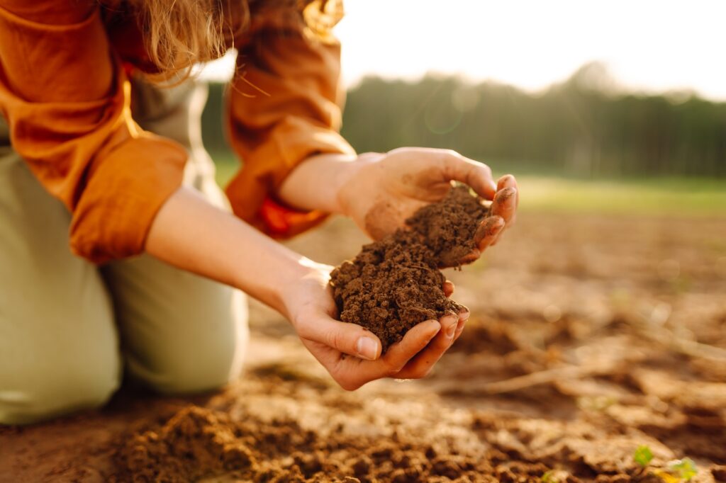 Women's hands sort through black soil in field. A woman farmer checks quality of the soil. Ecology.
