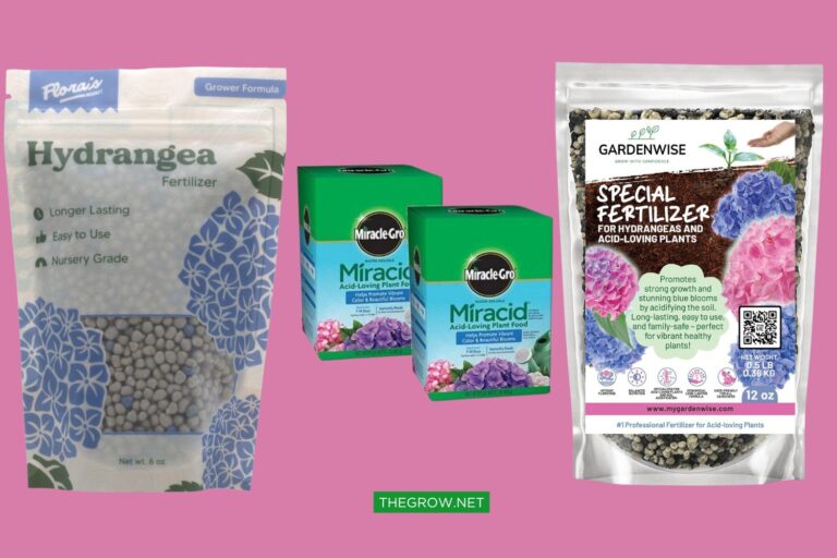 Best Fertilizers for Endless Summer Hydrangeas